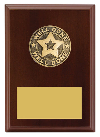 LPF503 - Well Done Plaque 175mm