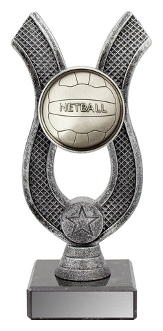 N3023 Netball Silver Anchor 180mm