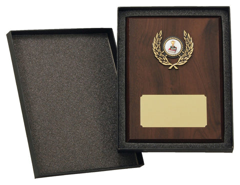 Budget Plaque Box 420mm