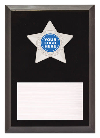 PL08B - Star Plaque Silver 175mm