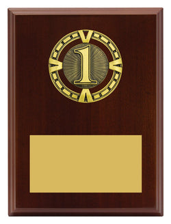 PV651 - Varsity Plaque - 1st Place 200mm