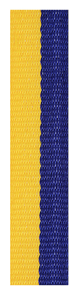 RL32 BLUE/GOLD LOOP RIBBON