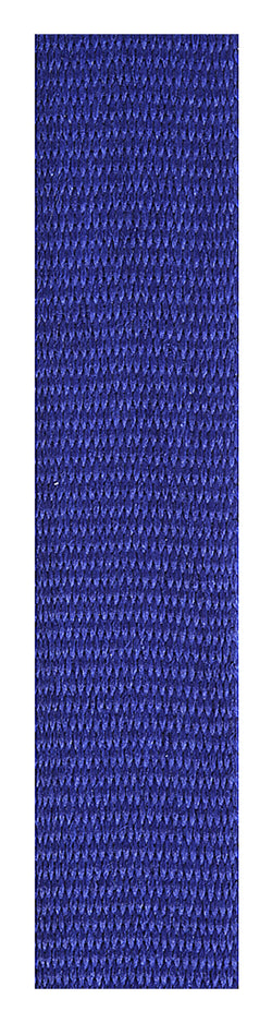 RL3 BLUE LOOP RIBBON